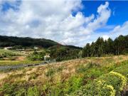 Terreno Leites Guimares