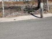 Terreno León Lagos Terreno León Lagos