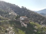 Terreno, Limonar, Málaga