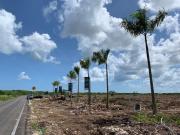 Terreno Listo para Escriturar en Venta en Santa Clara,...