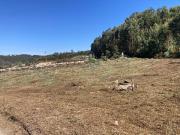 Terreno localizado em Cabeça Santa inserido numa área...