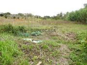 Terreno localizado na Freguesia do Ramalhal