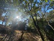 Terreno lomas country