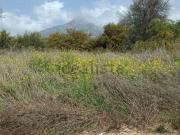 Terreno, Lomas de Marbella Club, Marbella