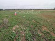 Terreno, Longueira/Almograve, Odemira | BPI Expresso...