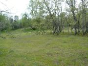 Terreno, Losar de la Vera