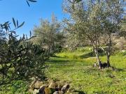 Terreno, Losar de la Vera