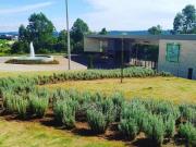 Terreno Lote em Gran Park, Vespasiano/MG