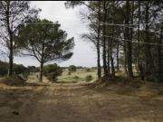 Terreno / Lote en venta de 1000m2 ubicado en Balneario...