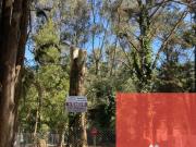 Terreno / Lote en venta de 530m2 ubicado en Bosques de...
