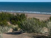 Terreno / Lote en venta de 770m2 ubicado en Monte Hermoso