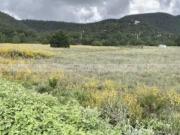 Terreno / Lote en venta en Arteaga