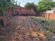 Terreno / Lote para Venda em Alfredo Marcondes/SP Centro