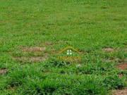 Terreno / Lote para Venda em Americana/SP Jardim...