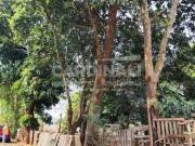 Terreno / Lote para Venda em Araraquara/SP Parque São...