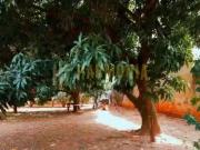 Terreno / Lote para Venda em Araraquara/SP Vila José...