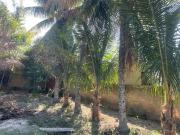 Terreno / Lote para Venda em Araruama/RJ Jardim São Paulo