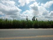 Terreno / Lote para Venda em Araruama/RJ Viaduto