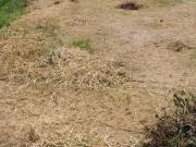 Terreno / Lote para Venda em Araucária/PR Barigui