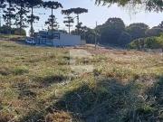 Terreno / Lote para Venda em Araucária/PR Costeira