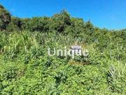 Terreno / Lote para Venda em Armação dos Búzios/RJ Ferradura