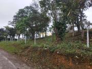 Terreno / Lote para Venda em Arujá/SP Mirante do Arujá
