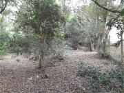 Terreno / Lote para Venda em Atibaia/SP Chácaras Fernão Dias