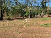 Terreno / Lote para Venda em Atibaia/SP Jardim Paraíso...