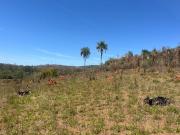 Terreno / Lote para Venda em Atibaia/SP Portão