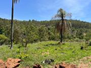 Terreno / Lote para Venda em Atibaia/SP Portão