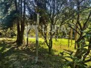 Terreno / Lote para Venda em Atibaia/SP Recanto dos Palmares