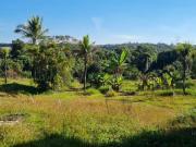 Terreno / Lote para Venda em Atibaia/SP Rio Abaixo