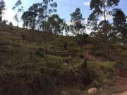 Terreno / Lote para Venda em Atibaia/SP Vila Petrópolis Terreno / Lote para Venda em Atibaia/SP Vila Petrópolis