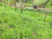 Terreno / Lote para Venda em Atibaia/SP Vitória Régia