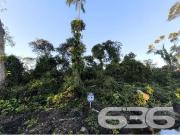 Terreno / Lote para Venda em Balneário Barra do Sul/SC...