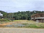 Terreno / Lote para Venda em Balneário Camboriú/SC Ariribá