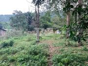 Terreno / Lote para Venda em Balneário Camboriú/SC Praia...