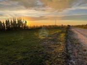 Terreno / Lote para Venda em Balsa Nova/PR Centro