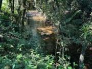 Terreno / Lote para Venda em Bananal/SP Serra da Bocaina