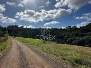 Terreno / Lote para Venda em Barão/RS General Neto Distrito