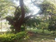 Terreno Lote para Venda em Baronesa São Benedito Santa...