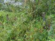 Terreno / Lote para Venda em Barra Velha/SC Itajubá