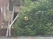 Terreno / Lote para Venda em Barueri/SP Parque Imperial Terreno / Lote para Venda em Barueri/SP Parque Imperial