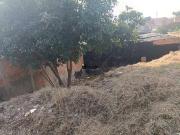 Terreno / Lote para Venda em Barueri/SP Recanto Phrynea