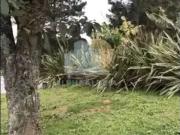 Terreno / Lote para Venda em Barueri/SP Residencial...
