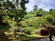 Terreno / Lote para Venda em Barueri/SP Residencial Tamboré