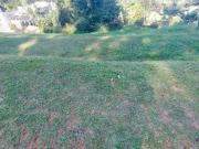 Terreno / Lote para Venda em Barueri/SP Residencial Tamboré