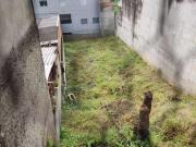 Terreno / Lote para Venda em Barueri/SP Vila São João 1...