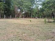 Terreno / Lote para Venda em Belém/PA Caruara Mosqueiro