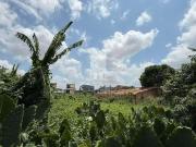 Terreno / Lote para Venda em Belém/PA Sacramenta